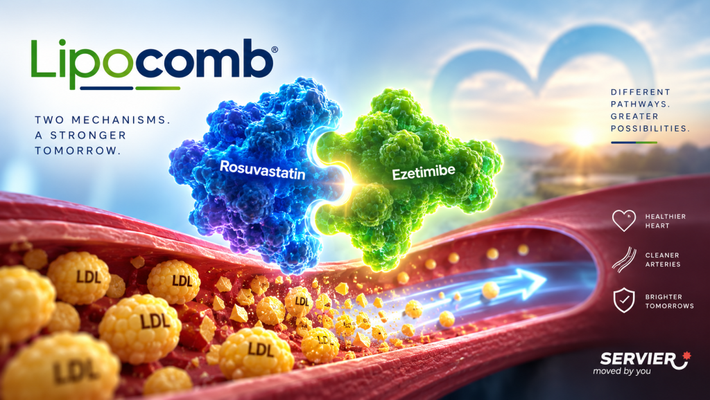 Lipocomb synergistic mode of action